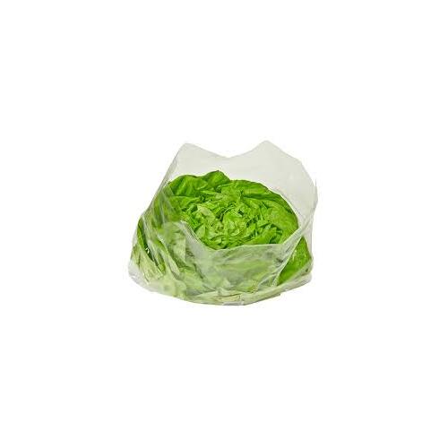 BAG PUNCHED PREMIUM 15X12IN LETTUCE