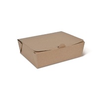 DETPAK TAKEAWAY BOX LARGE 1000ML