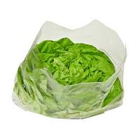 BAG PUNCHED PREMIUM 15X12IN LETTUCE