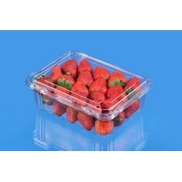 TACCA 500G PUNNETS -HP0873/1010
