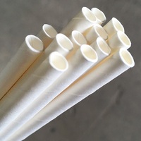 PAPER STRAWS REGULAR WHITE