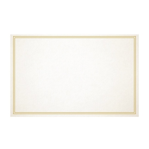 GIFT CARD WHITE/ GOLD LINE 10X6.5CM PK50