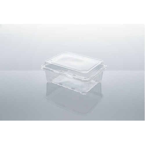 500G HINGED LID PUNNET (CJ-500)