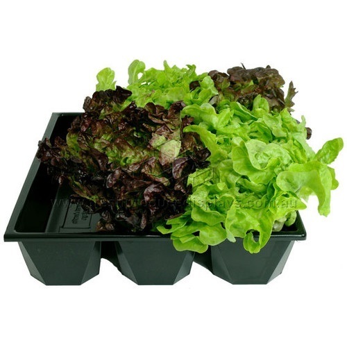 3 CHANNEL HYDROPONICS TUB 390X415X90MM