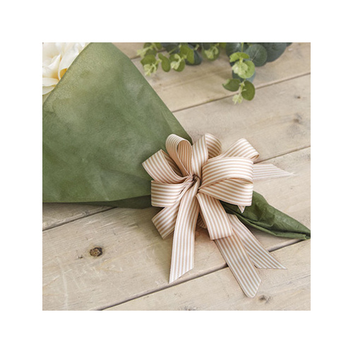 RIBBON GROSGRAIN STRIPED NAT 25MMX20M